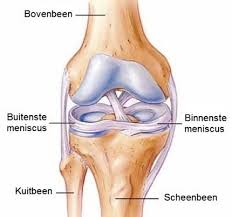 knie